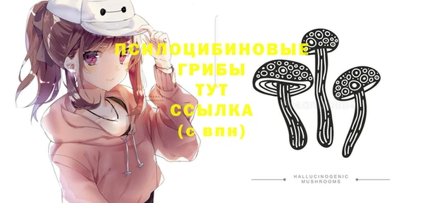 ГАЛЛЮЦИНОГЕННЫЕ ГРИБЫ Алексеевка