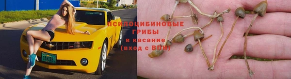 ГАЛЛЮЦИНОГЕННЫЕ ГРИБЫ Алексеевка