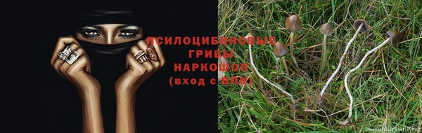 экстази Анжеро-Судженск