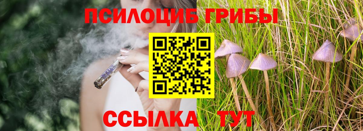 Галлюциногенные грибы мицелий Дюртюли