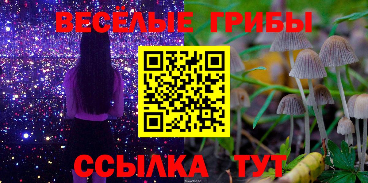 Псилоцибиновые грибы Cubensis  Вход с VPN  Дюртюли 